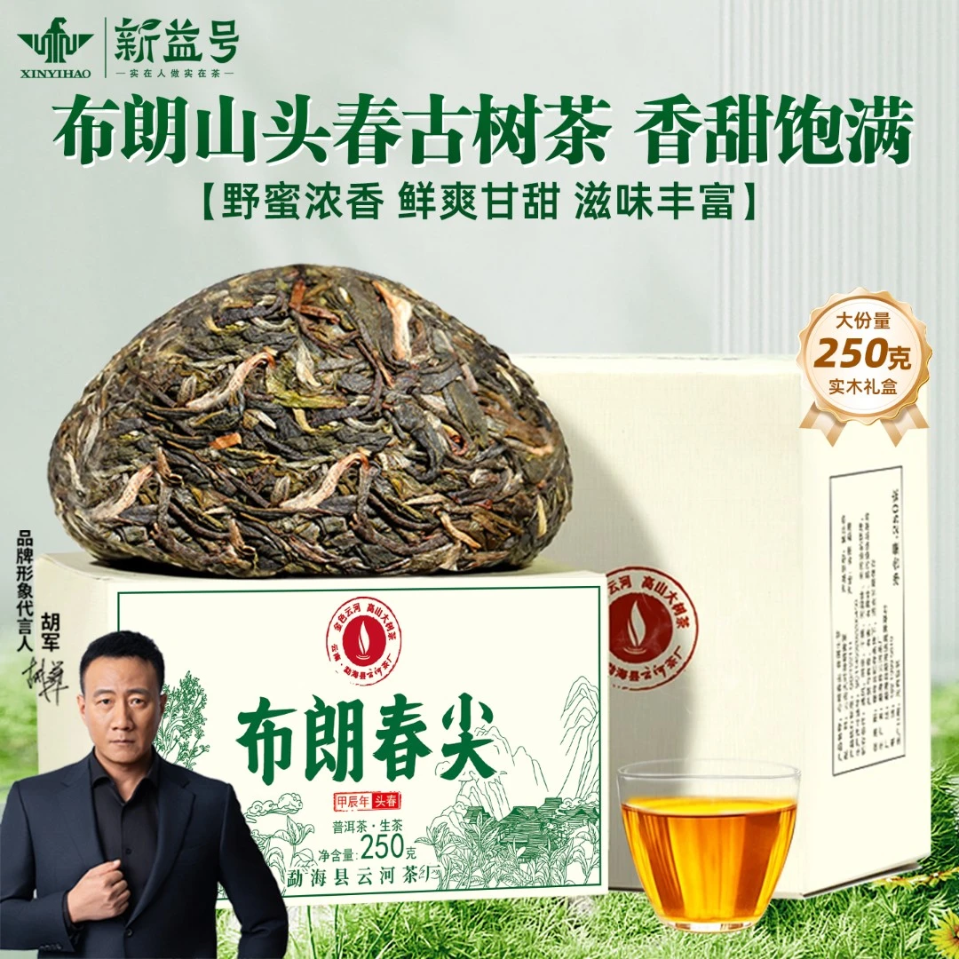 【春茶季】2025年新益号布朗山布朗春尖沱茶普洱茶生茶叶口粮茶生普