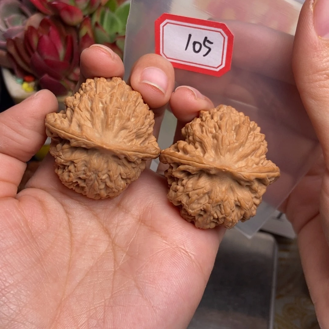 文玩核桃吊坠壮**云105号 野生元宝