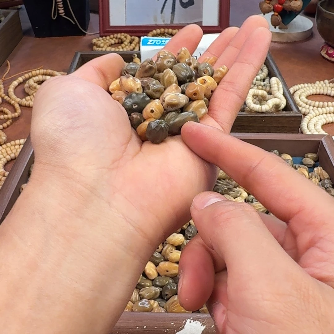手串菩提根/象牙果龙脊菩提原籽（29颗）