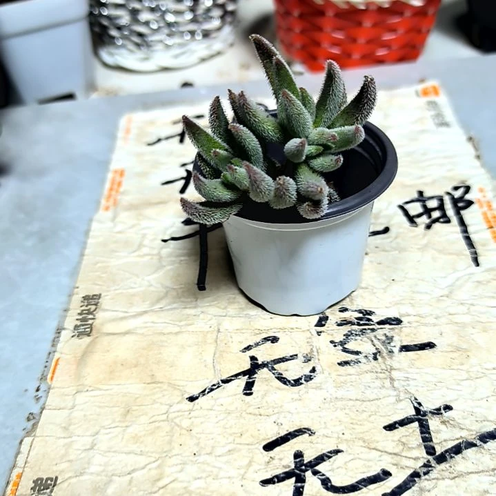 满9元包邮，，绒针一颗