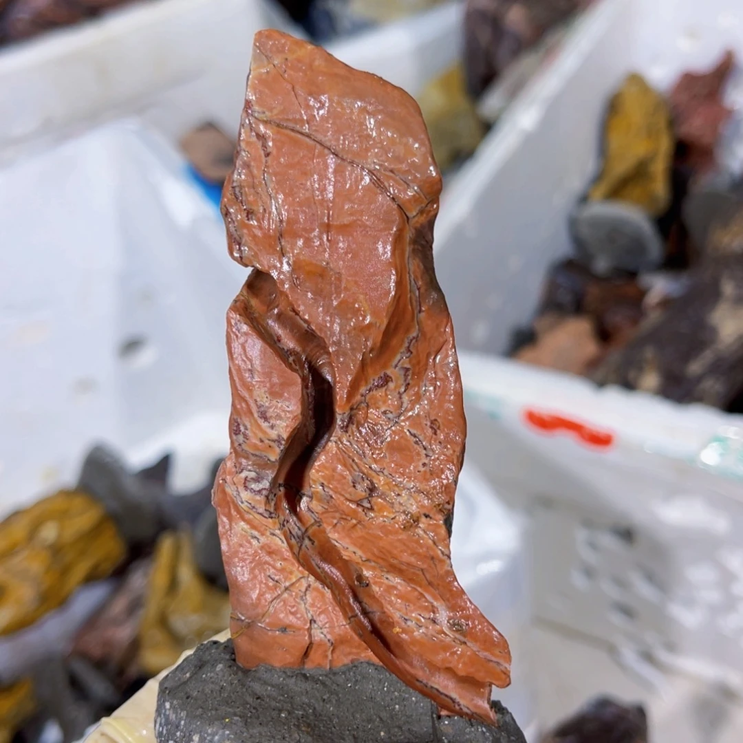 ?****?附石盆景一物一拍