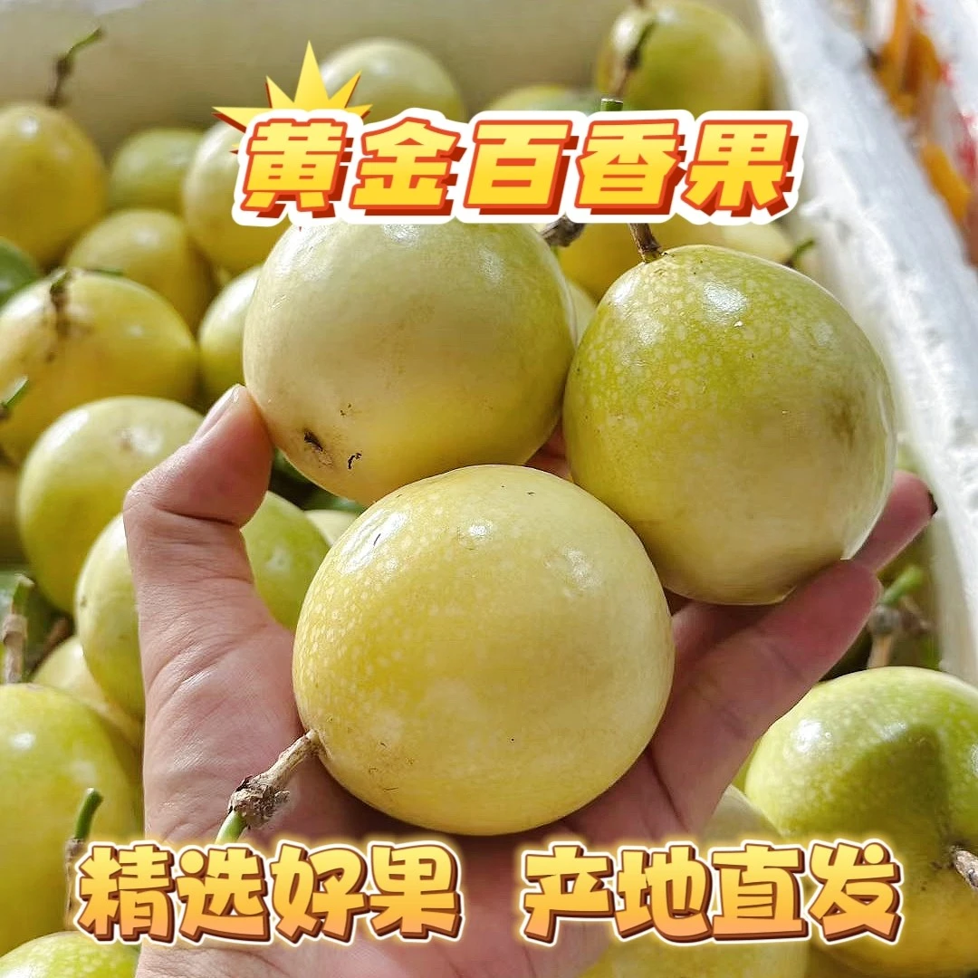 钦蜜9号百香果产地直发黄金百香果新鲜当季水果果肉金黄香甜多汁