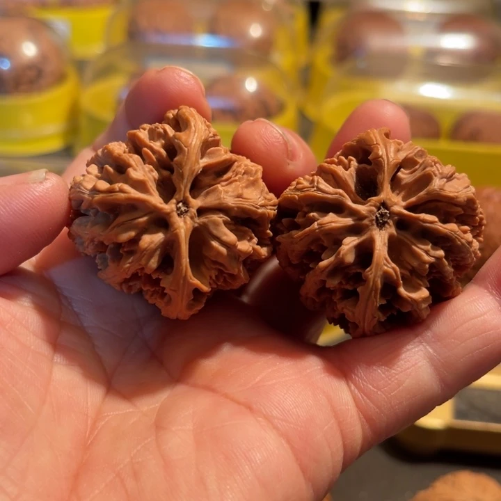 文玩核桃把件?****懂九龙筋39