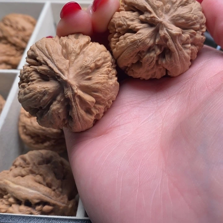 许****文玩核桃把件霸王龙