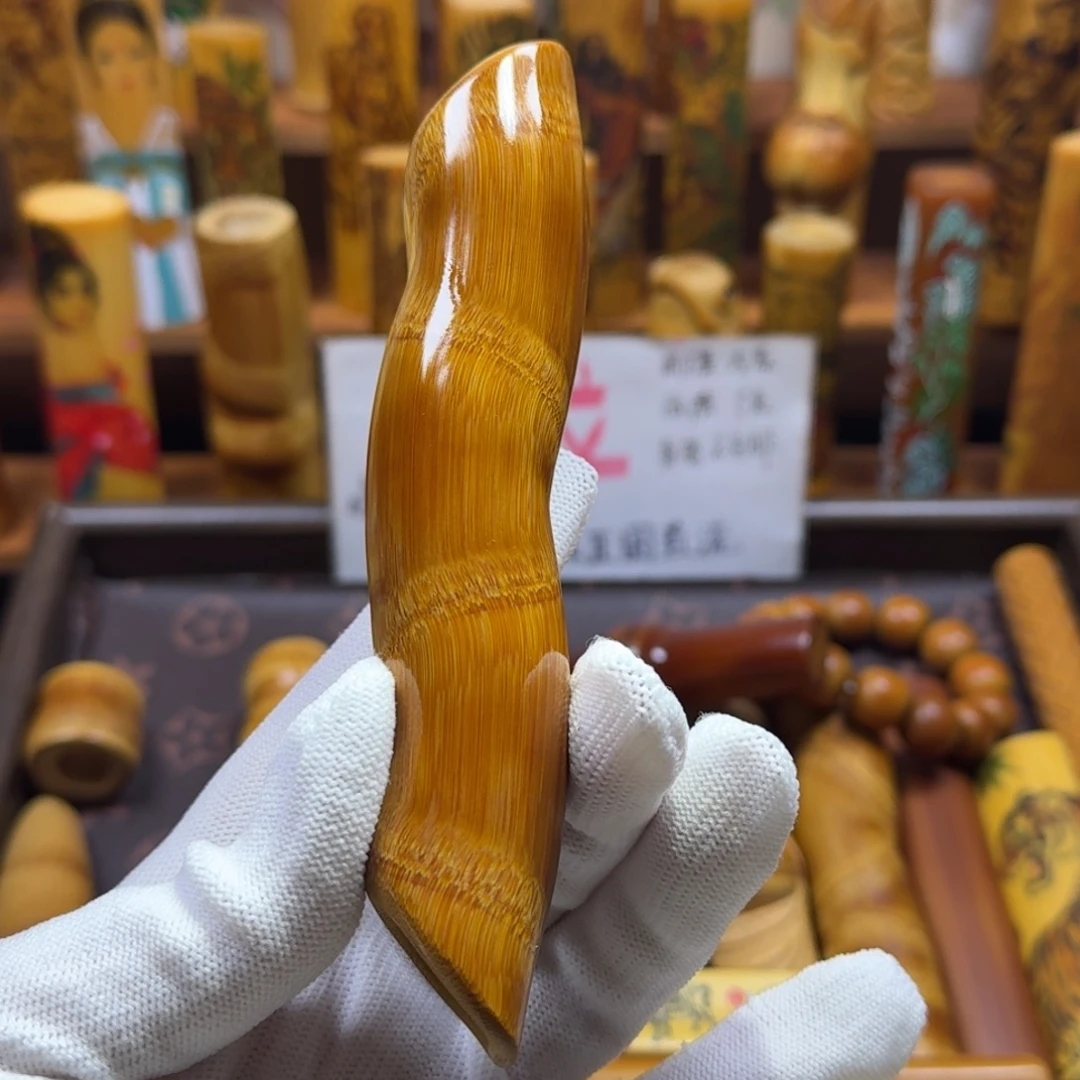 竹类精品龟甲竹子