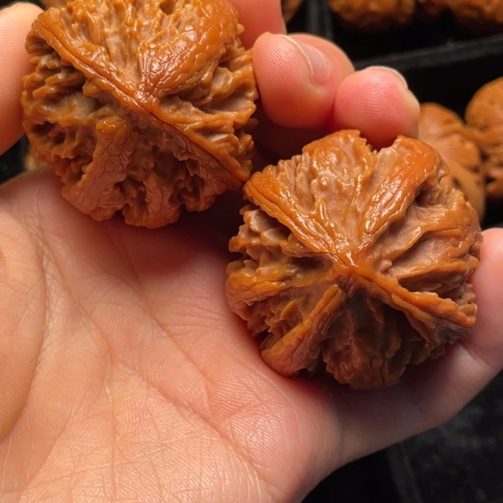 文玩核桃把件秦岭山脉核桃