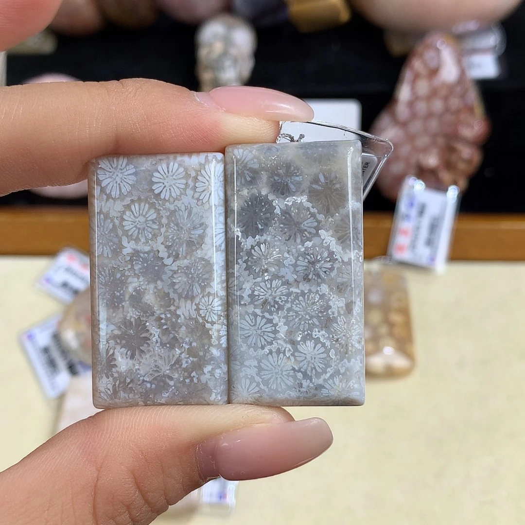吊坠(赠链)未镶嵌硅化珊瑚（珊瑚玉）11号吊坠20一个可挑