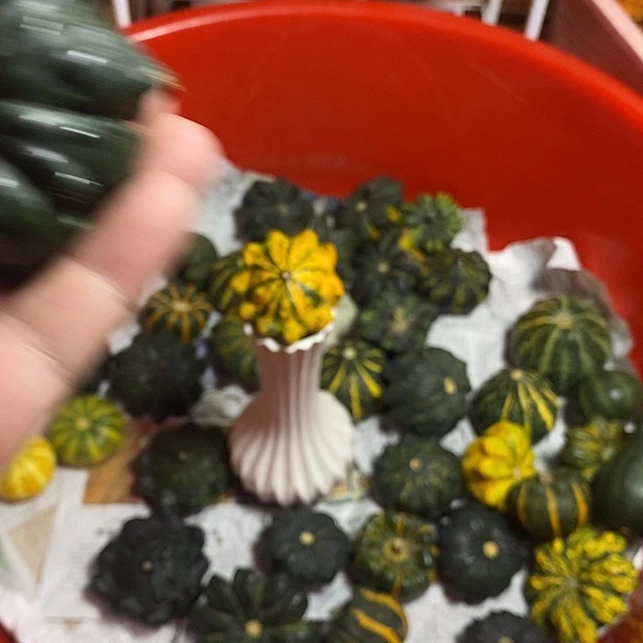 大理石磁石葫芦36896322