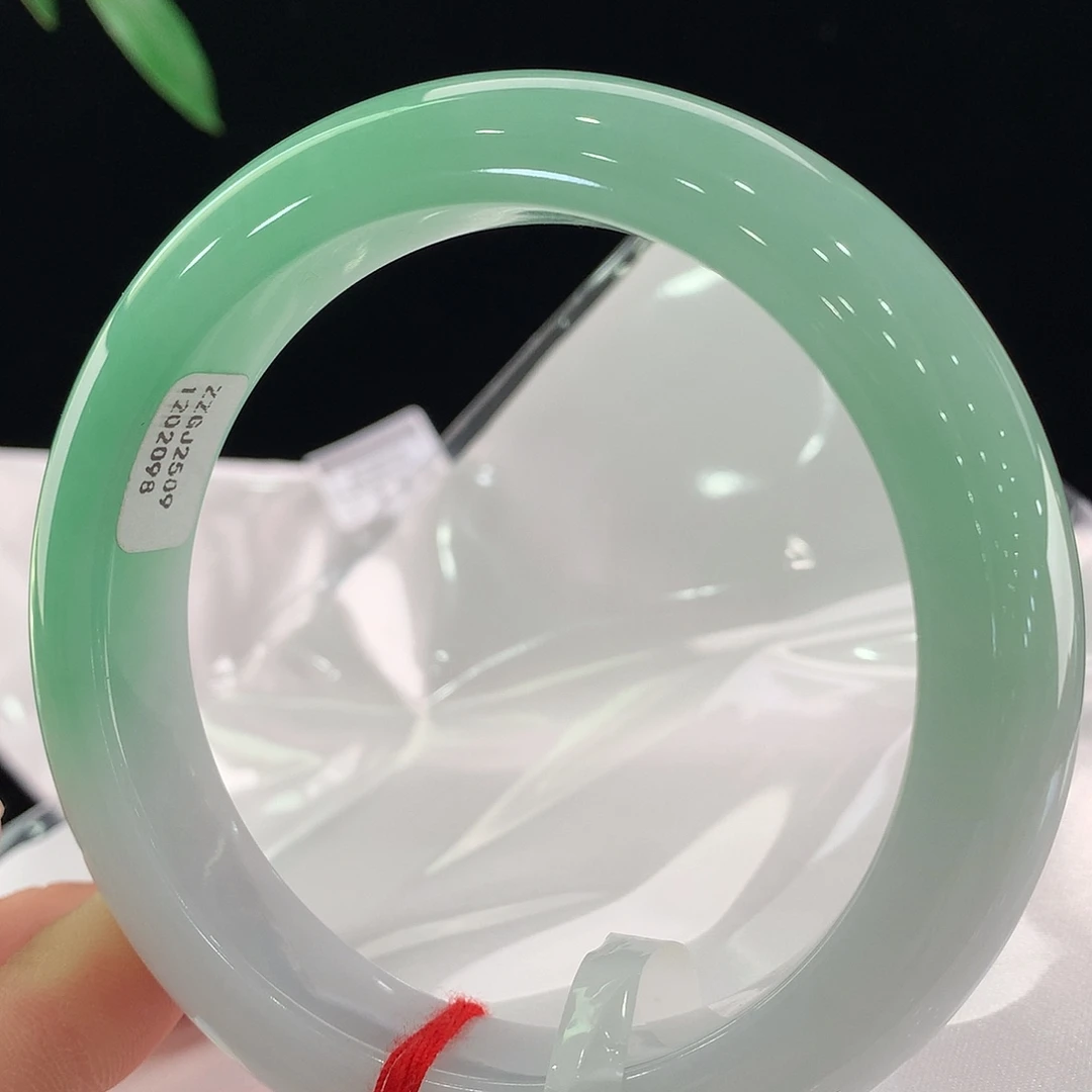 未镶嵌手镯翡翠2098