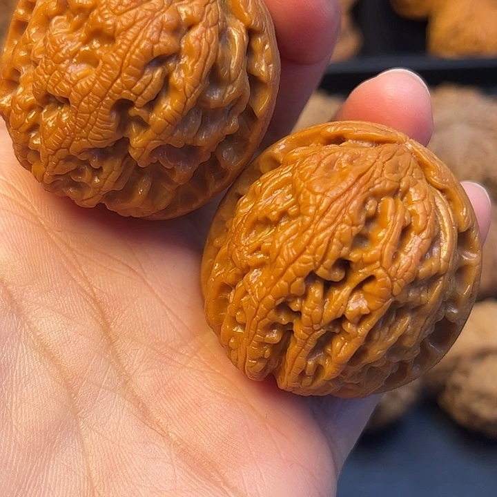 核桃秦岭突突突突突突突突