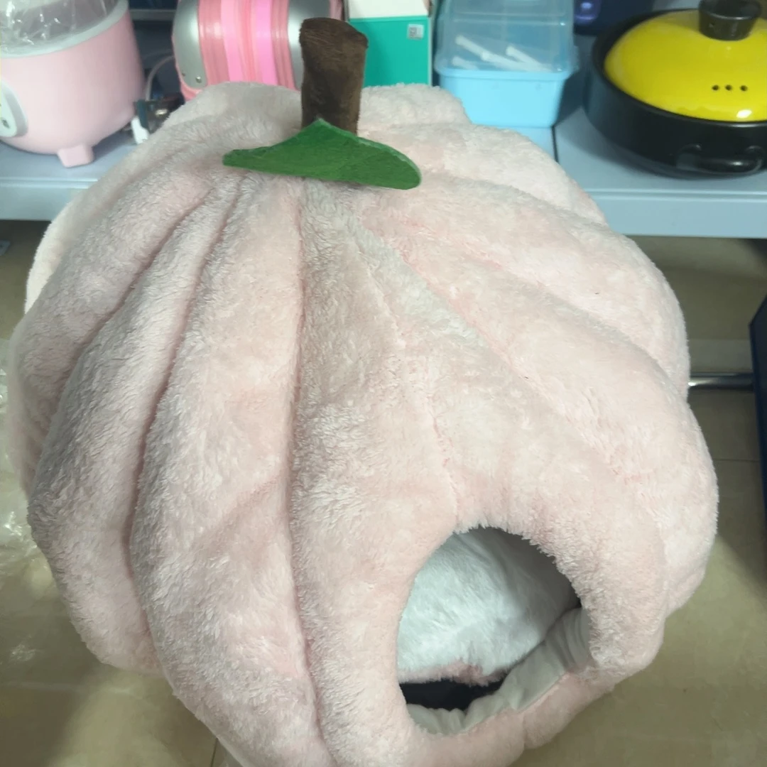 m-猫窝（随机发货）