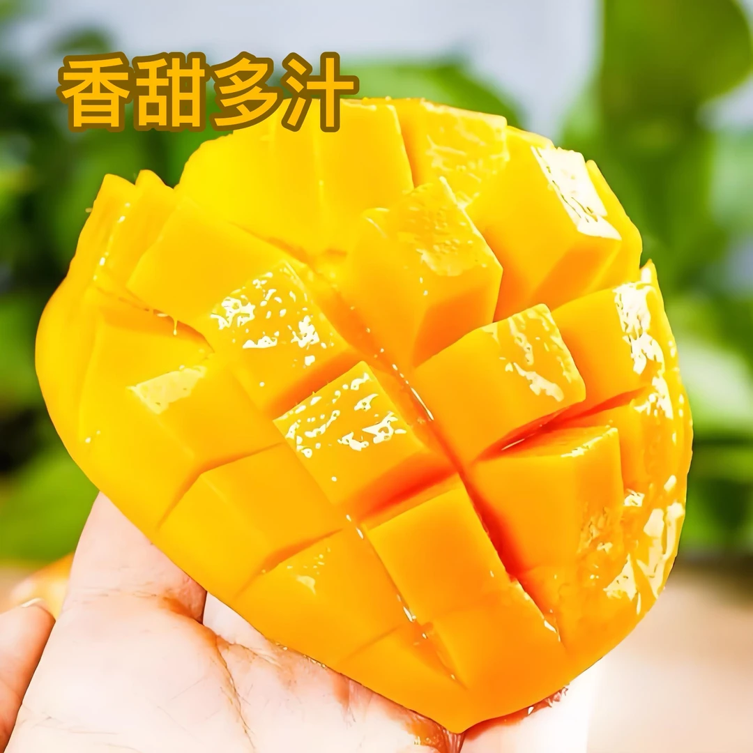 正宗云南小台芒新鲜采摘当季鲜果香甜多汁