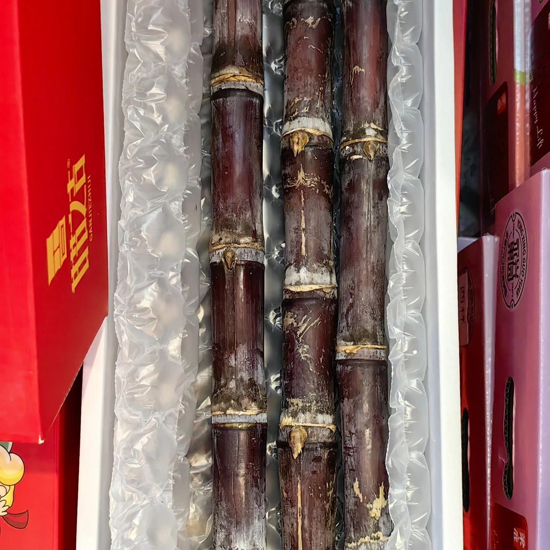 黑糖甘蔗(根)