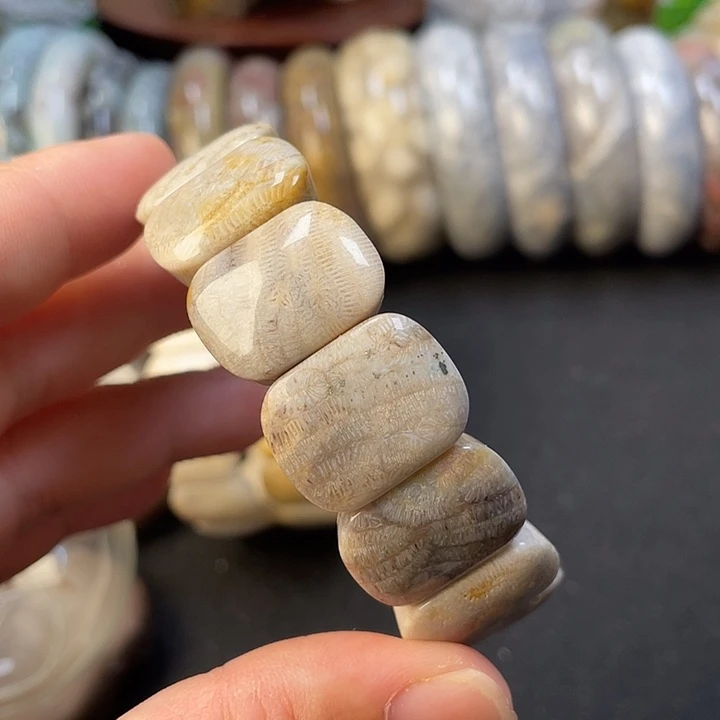 未镶嵌手链硅化珊瑚（珊瑚玉）