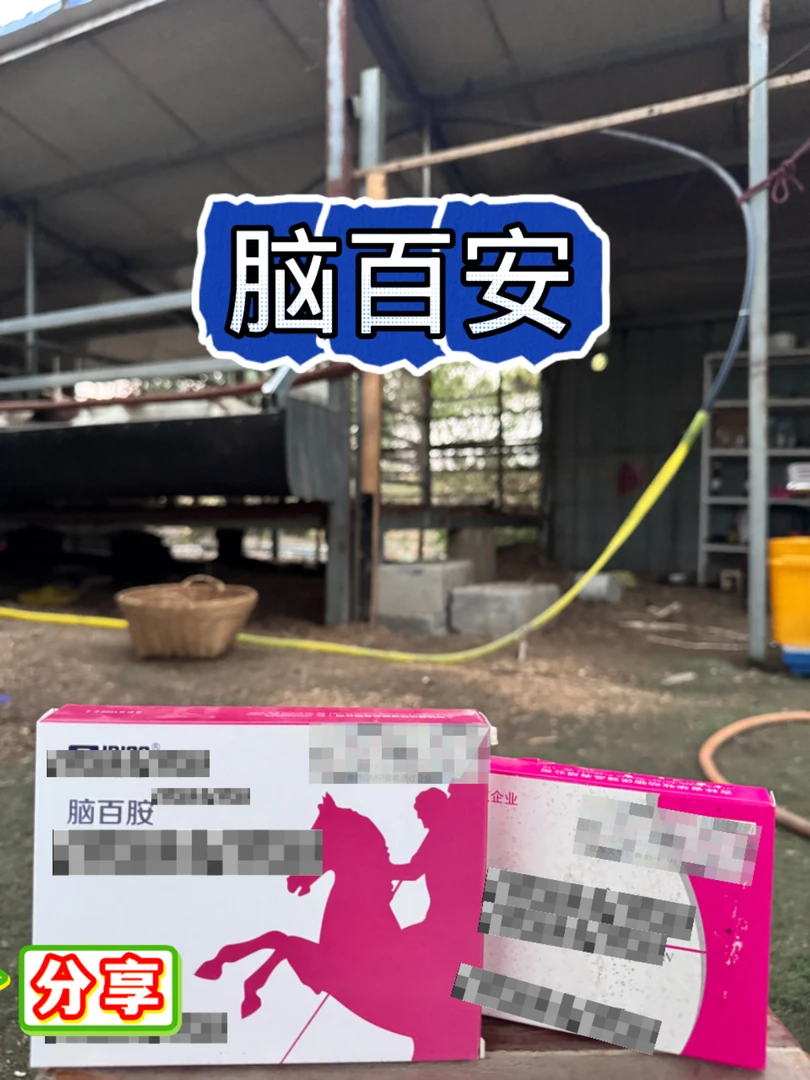 脑百安（时希甄选）