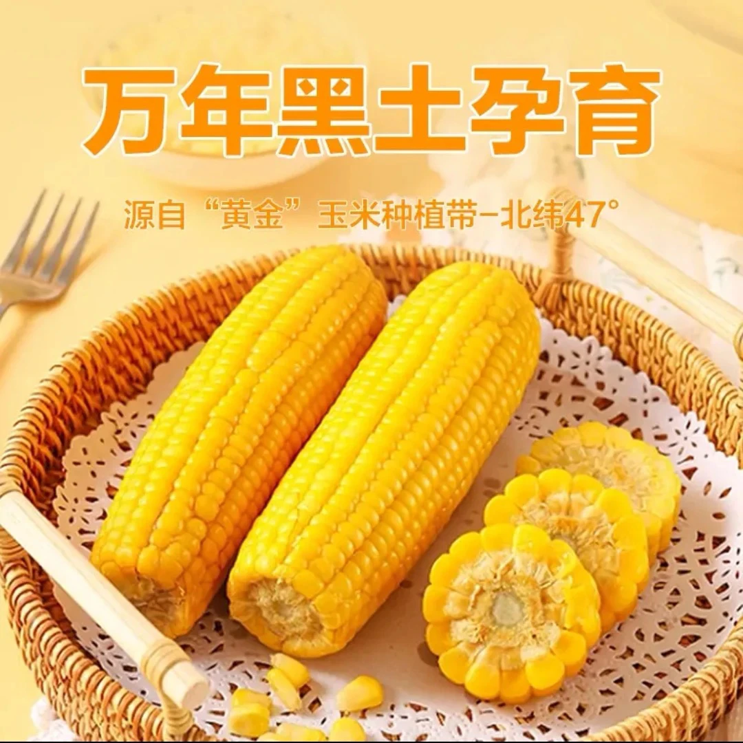 黑龙江讷河甜糯玉米