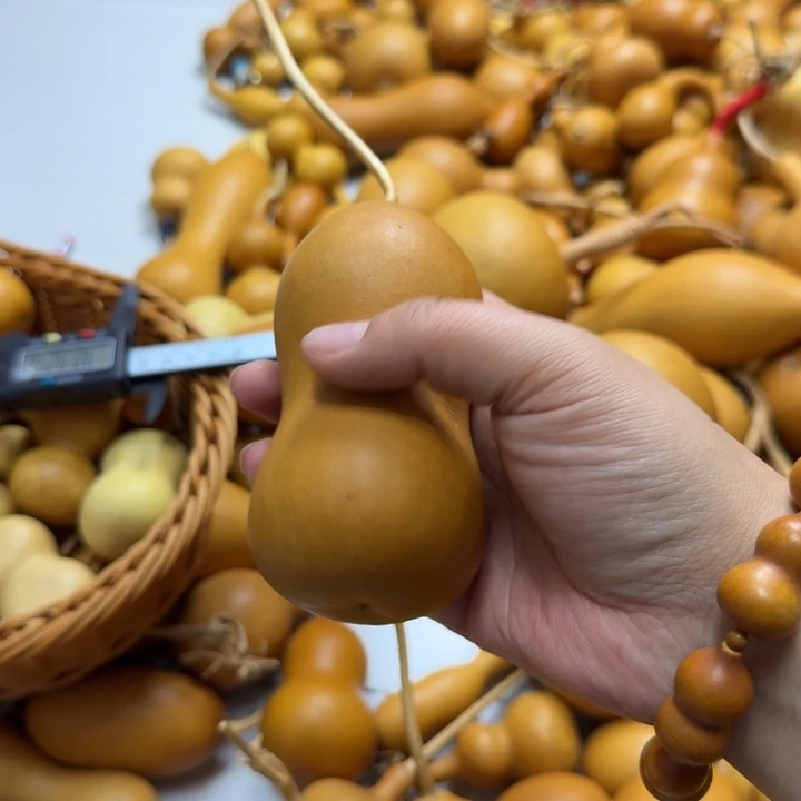 U***U竹类老皮本章葫芦