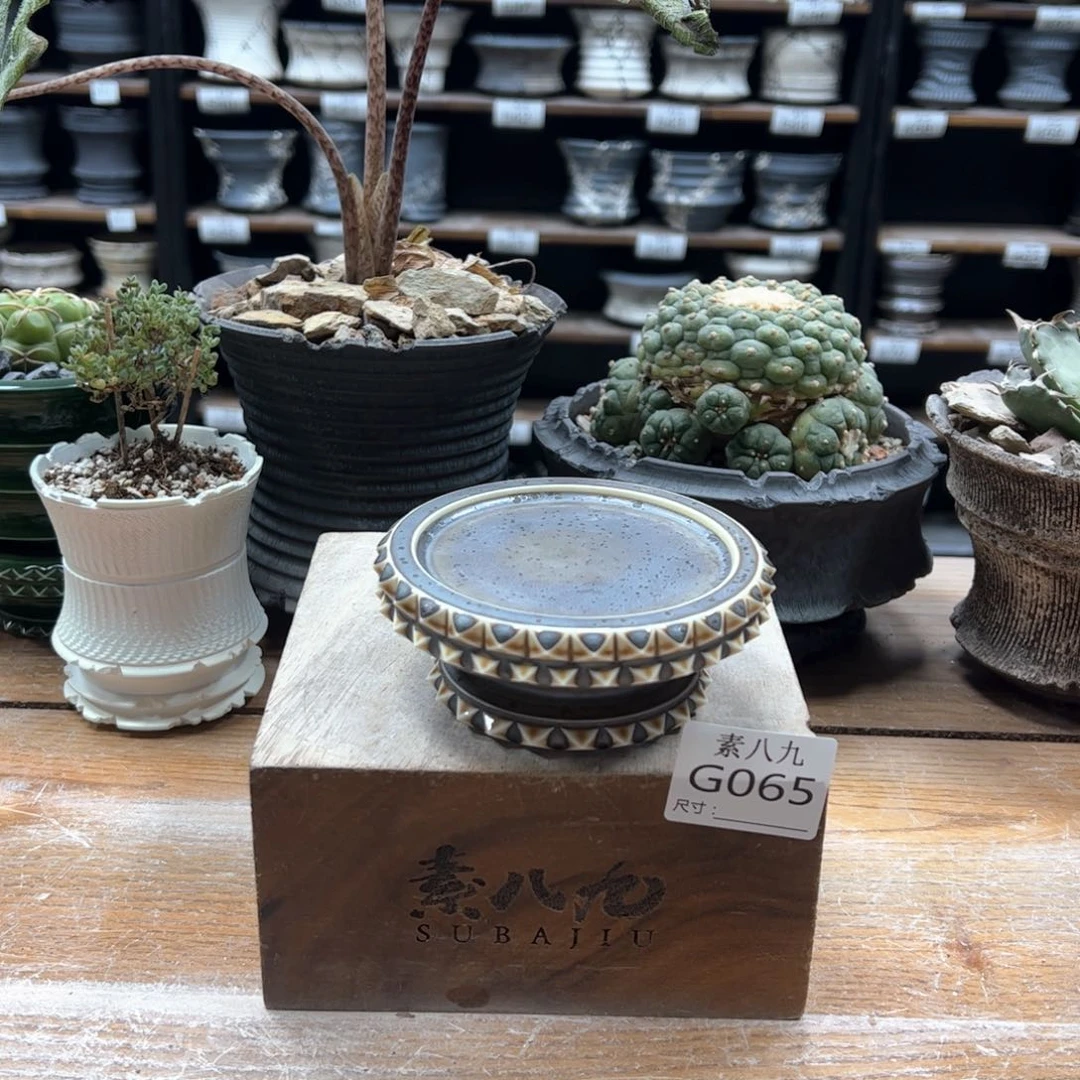 素八九陶瓷内口9高4.5