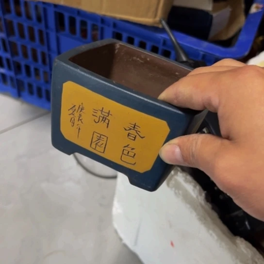 啦***啦杂色豆（科檀/科特迪瓦檀木）