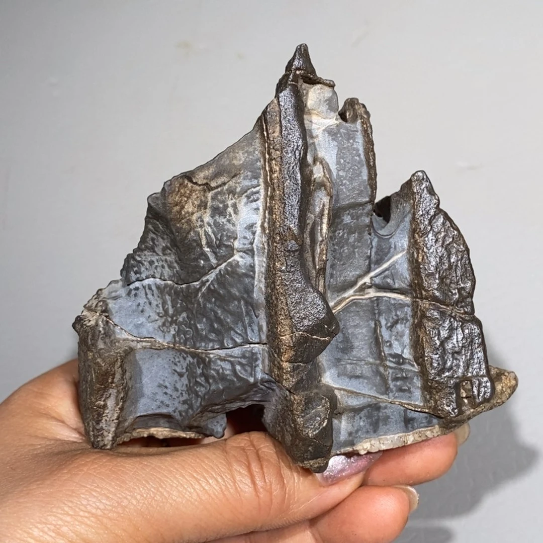 玛瑙/玉髓车挂合金时**者80