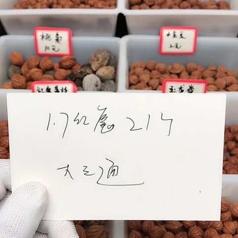 桃核吊坠思*奔龙纹桃核的搭配