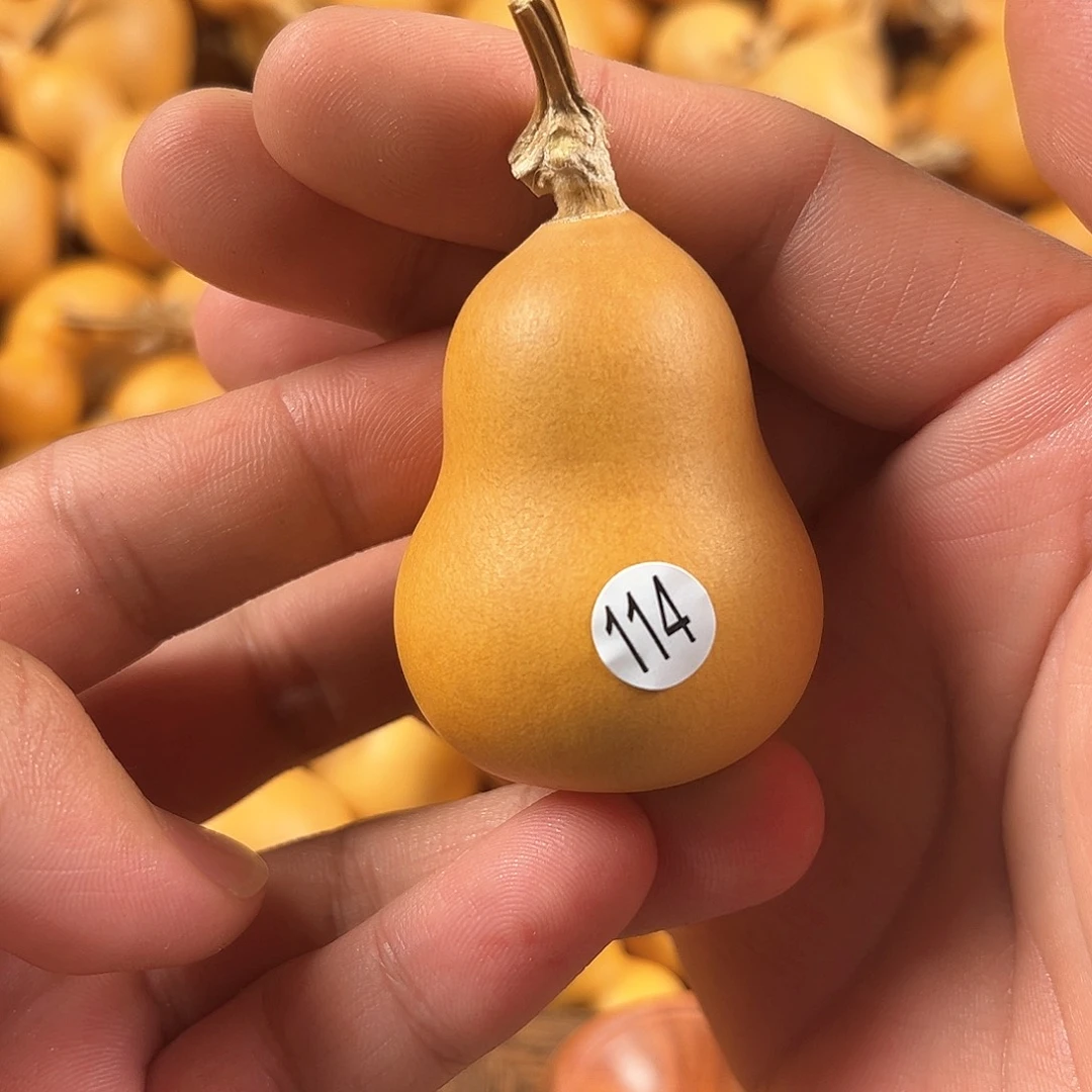 四葫芦葫芦葫芦葫芦114