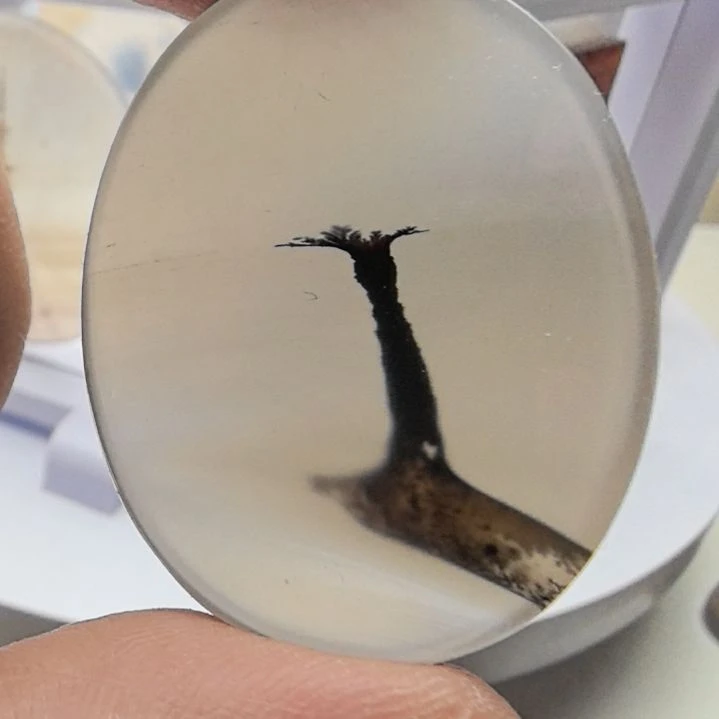 非金属时尚饰品21