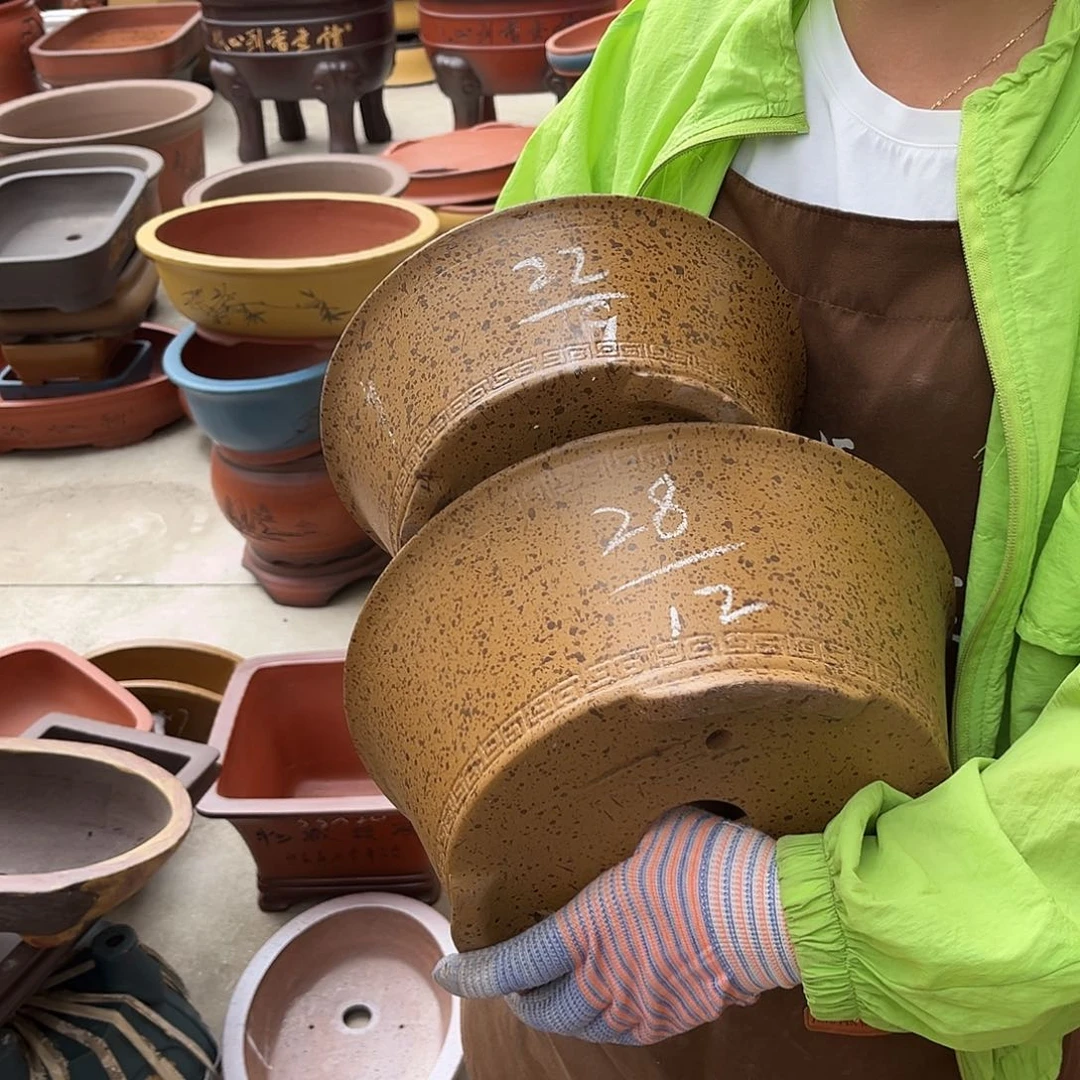 紫砂花盆盆景艺术