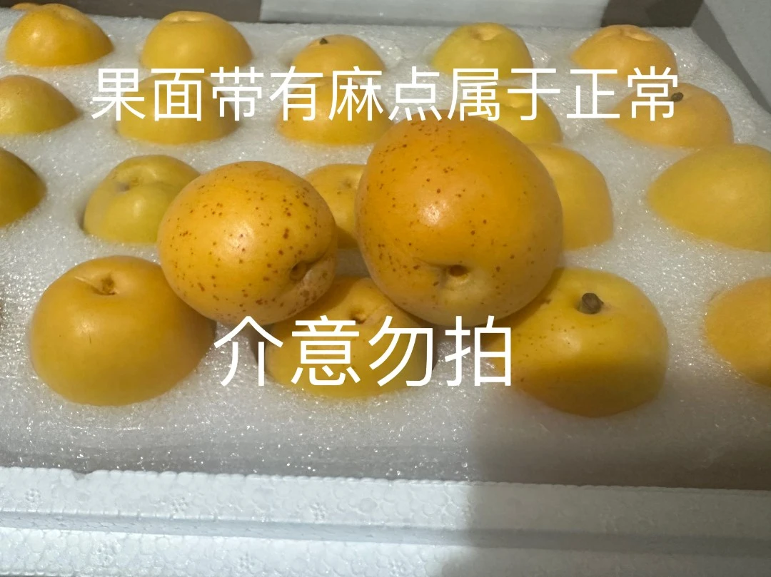 【京东】山东崂山香蜜杏  净重2.5-2.7斤  放软食用 口感更佳