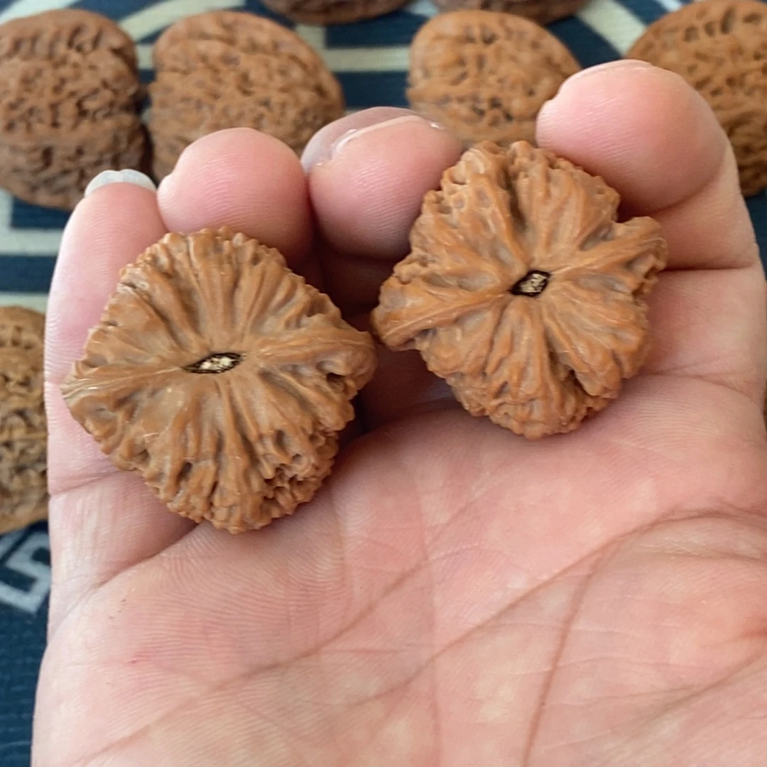 碗***子文玩核桃把件涿鹿南将