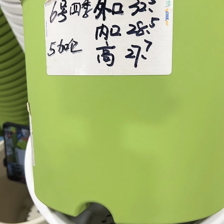 特价6号四季口32.5高27.7白色5个无托