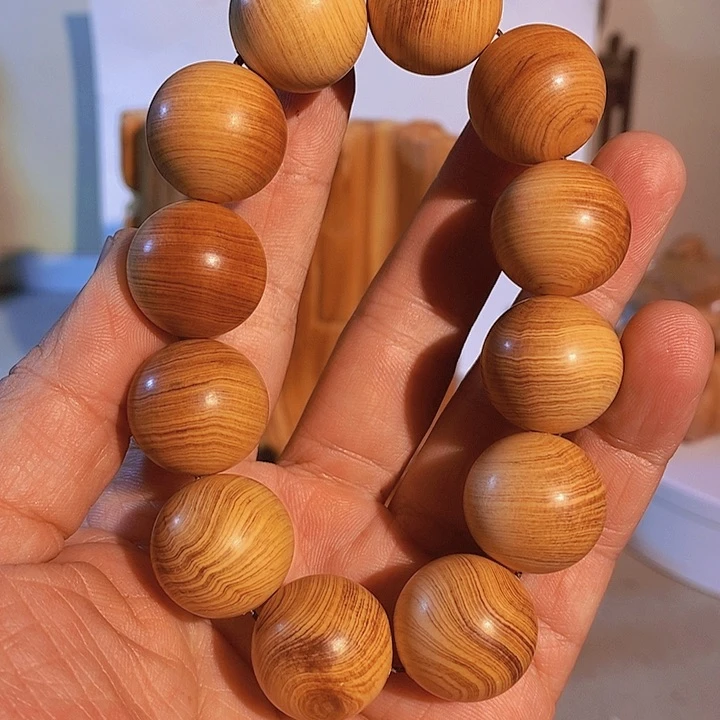 香榧木太行大峡谷崖柏