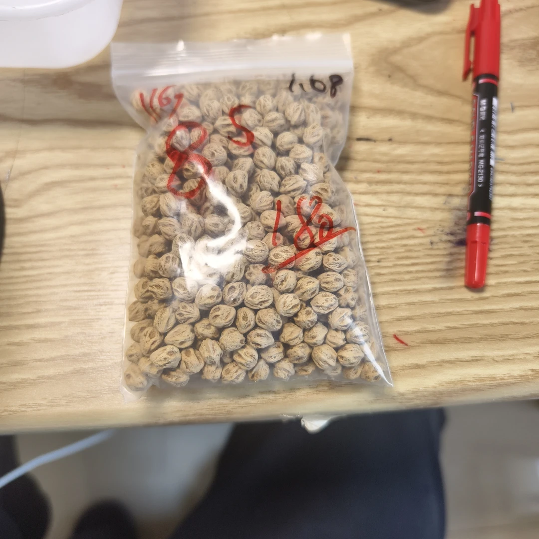 热振柏香籽散籽原料