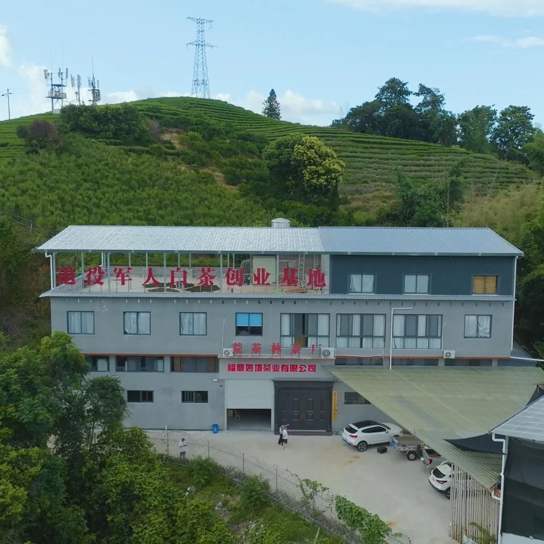 福鼎白茶临时链接补差价不发茶叶！