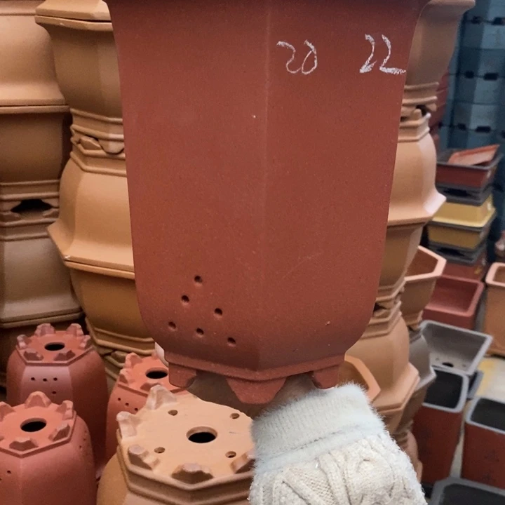 花盆紫砂哈哈哈哈哈个