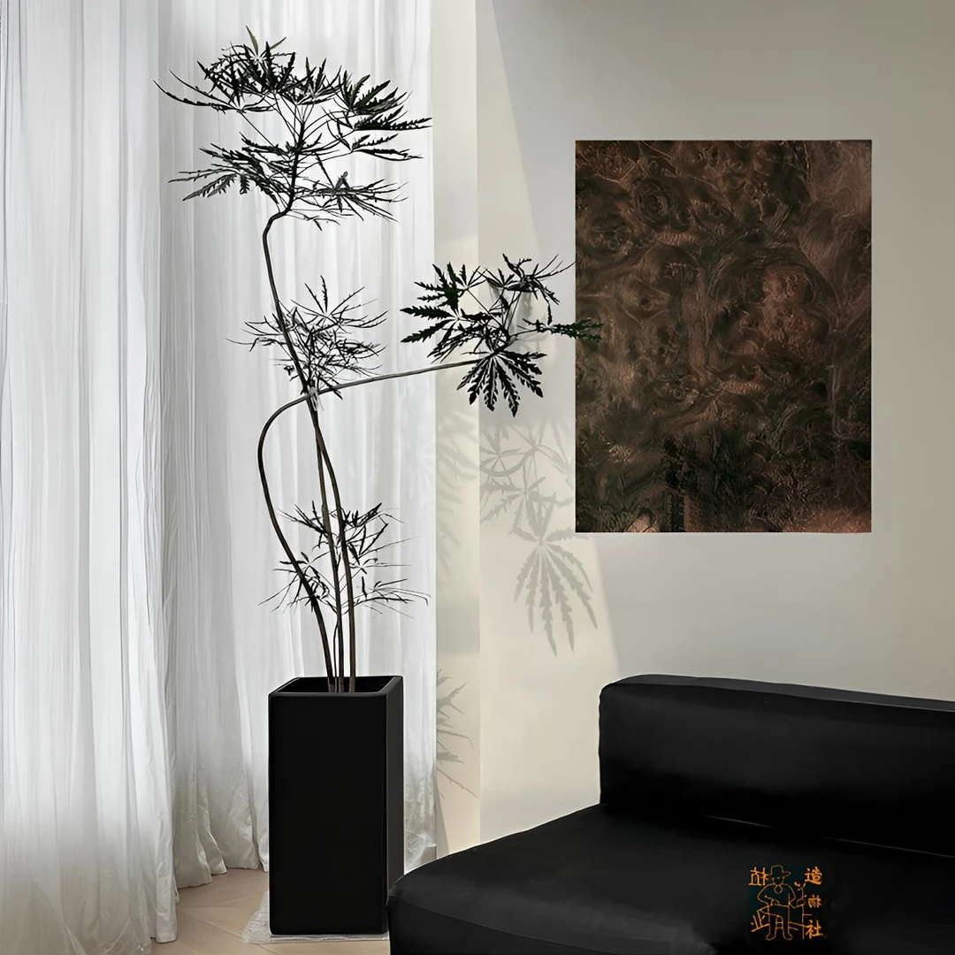 造型孔雀木大型绿植室内客厅ins风盆栽净化空气高颜值北欧风植物