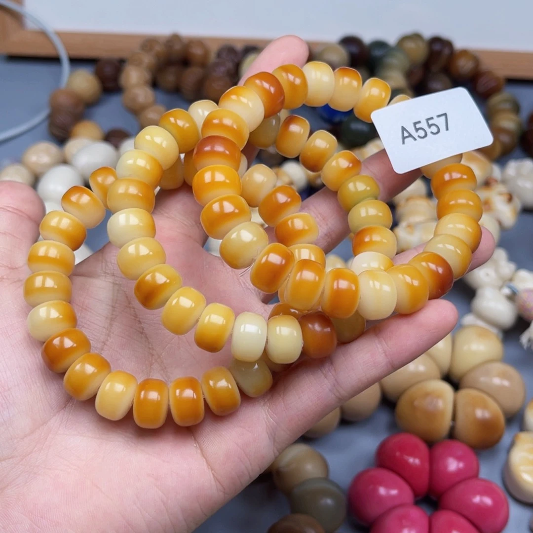 吊坠菩提根/象牙果A557药片12mm通货一串随机