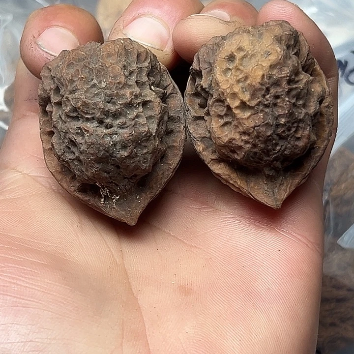 把件文玩核桃68号七彩妖将42尺