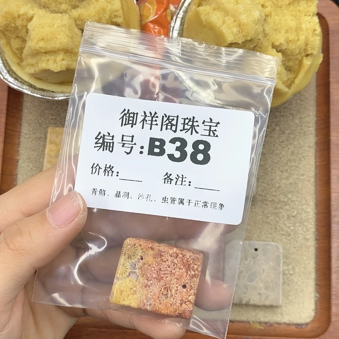 硅化珊瑚（珊瑚玉）颈饰未镶嵌曹*