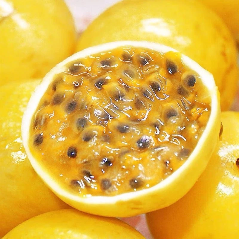 钦蜜9号百香果当季新鲜水果香甜浓郁口感爆甜面包果一号文旅