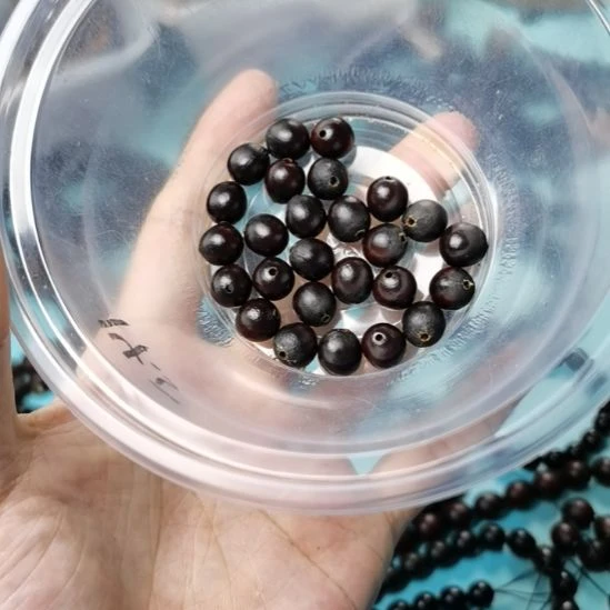 王***制吊坠草珠菩提紫红色无患子手串