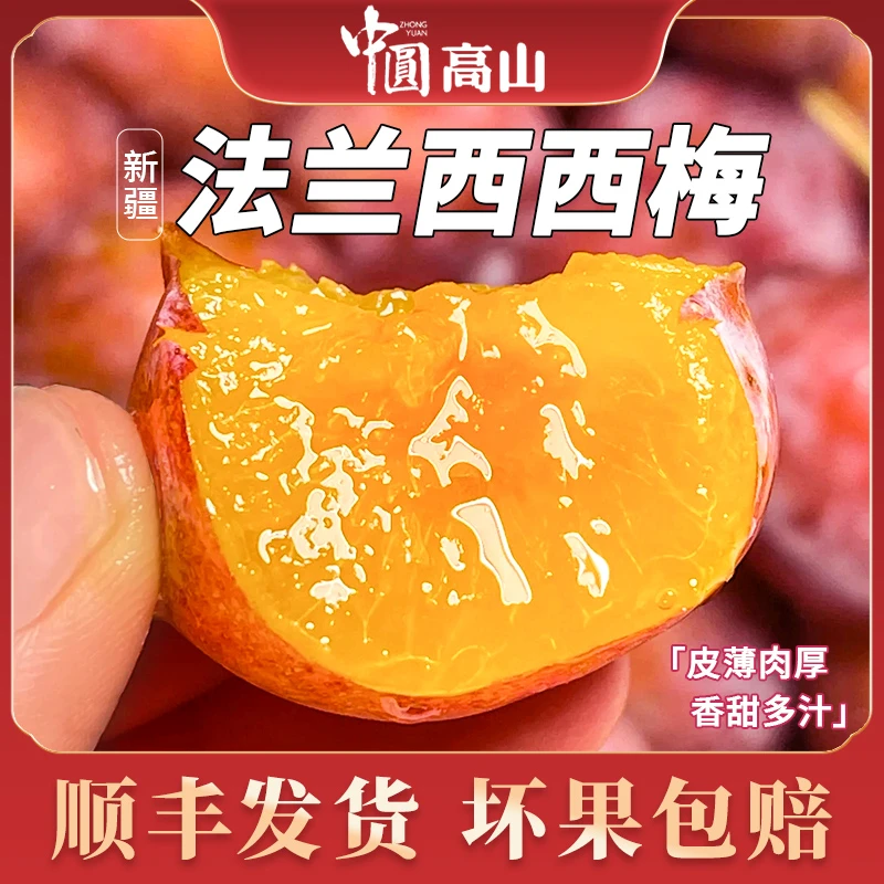 【顺丰包邮】正宗新疆法兰西西梅甜西梅现摘新鲜西梅鲜果孕妇水果