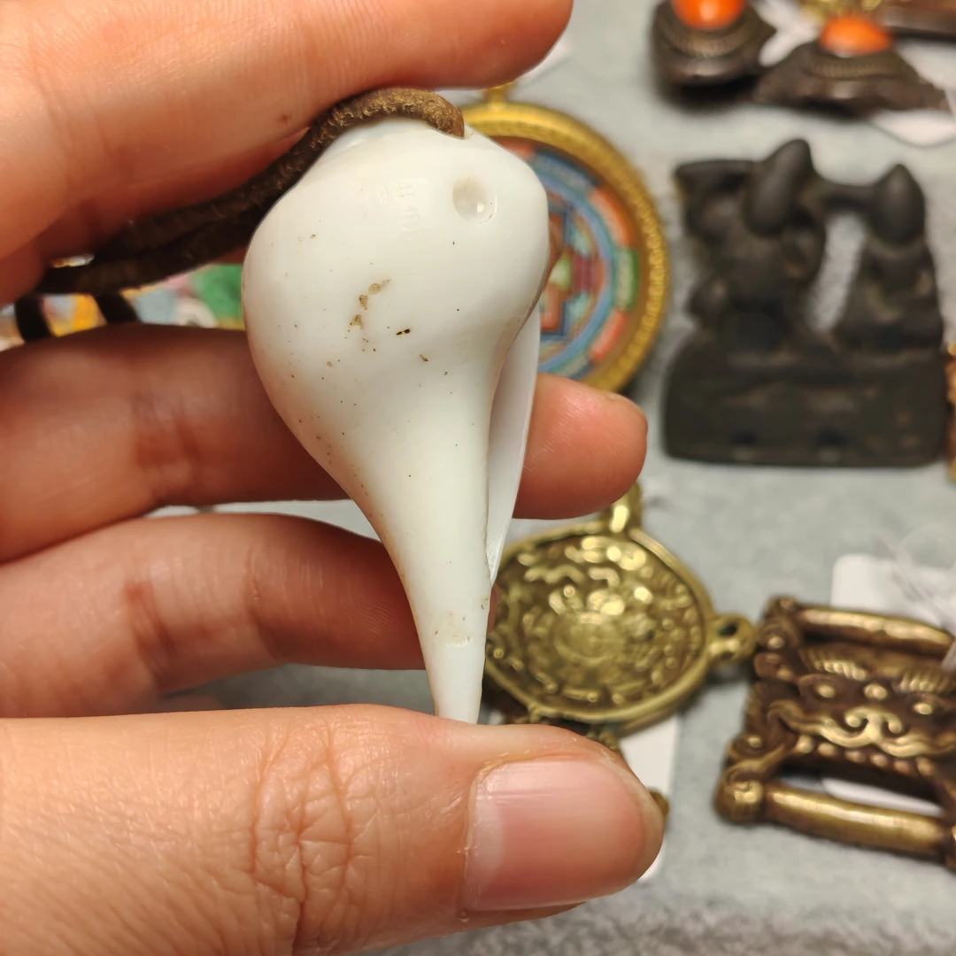 深海装饰饰品老法螺