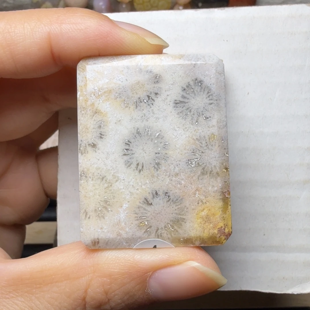 硅化玉未镶嵌灰紫黄，背面共生花纹 可盘