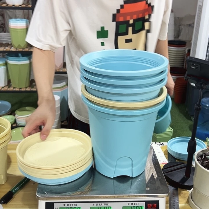 圆形控根210口21高21混色带托5只