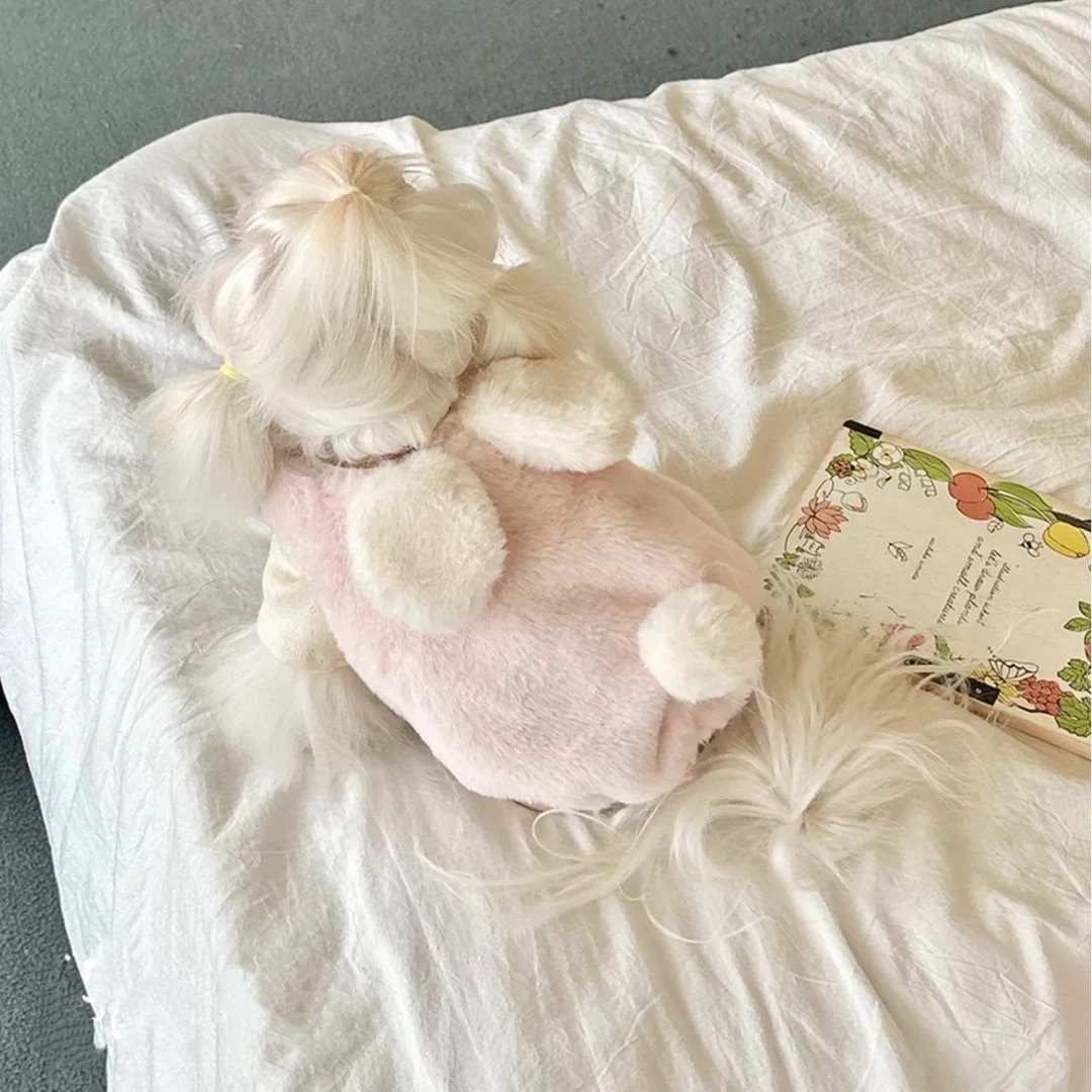 宠物狗狗猫咪衣服秋冬装加绒舒适保暖加厚衣服约克夏西施洋气服饰