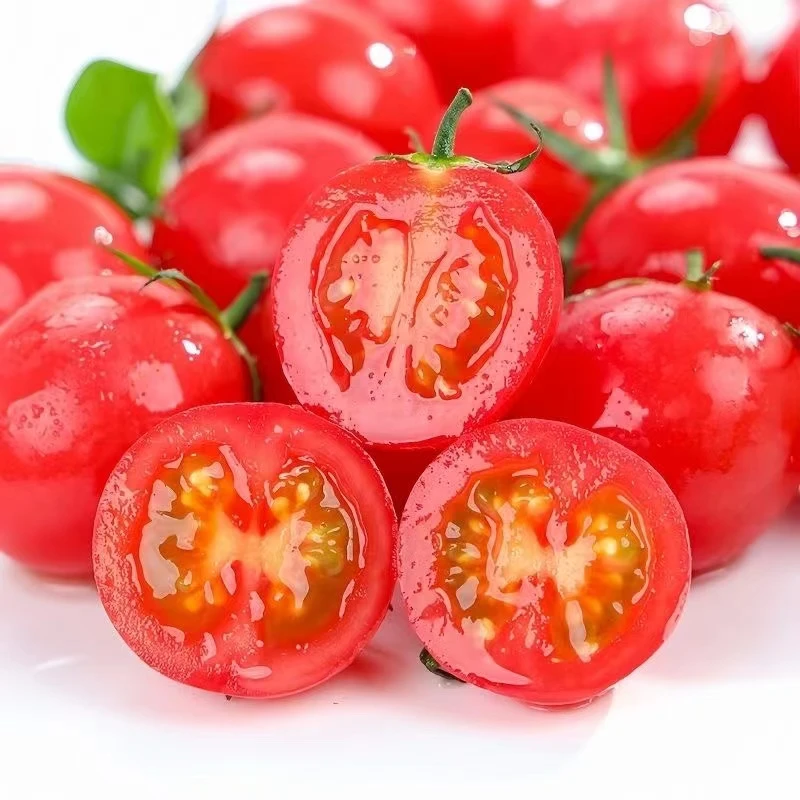山东圣女果新鲜小番茄带箱五斤