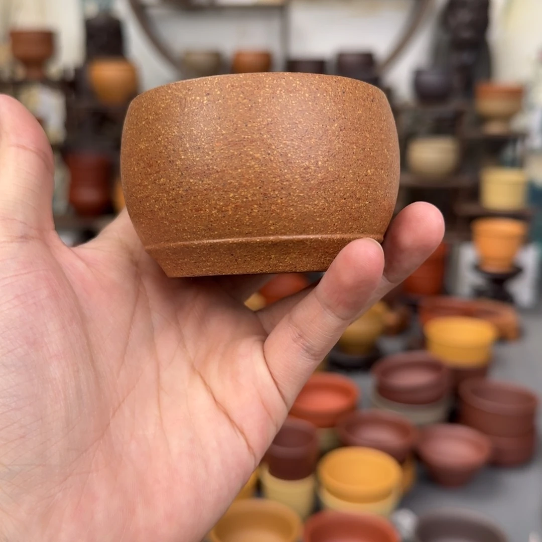 紫砂茶杯55545221554655