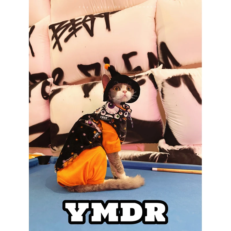 YMDR德文猫衣服无毛猫衣服德文帽子秋冬款万圣节搞怪COS巫师套装