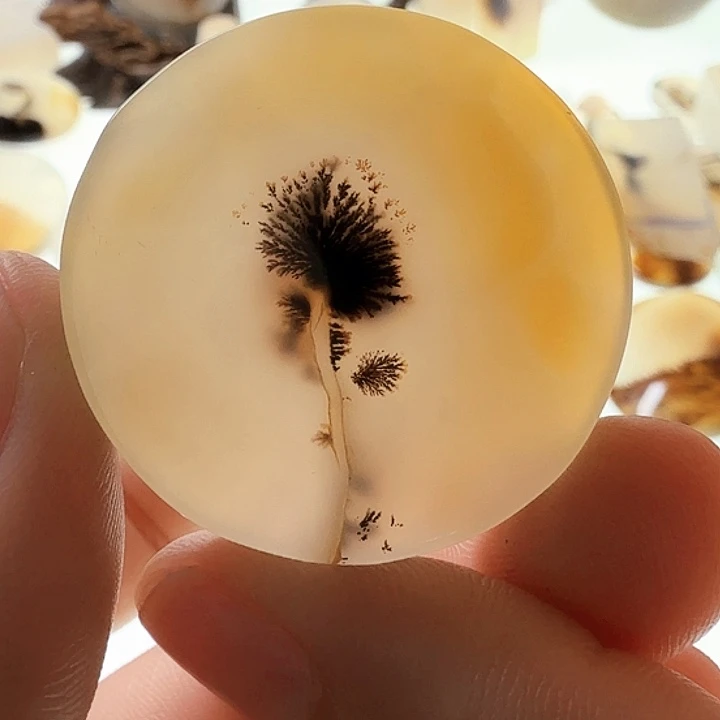 未镶嵌玛瑙/玉髓珠宝半成品